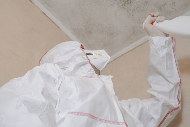 Best Industrial Mold Remediation in Lithonia, GA